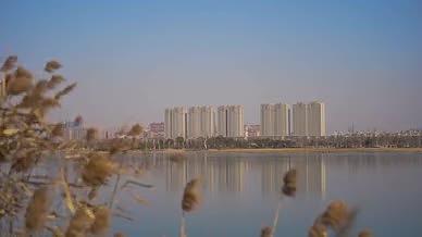 湖金沙湖阜宁金沙湖建筑视频的预览图